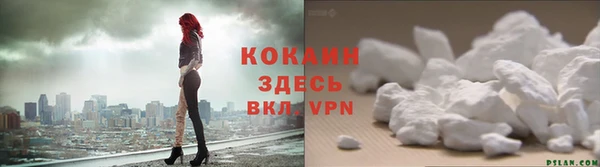 стафф Богородицк