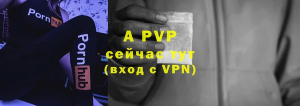 стафф Богородицк
