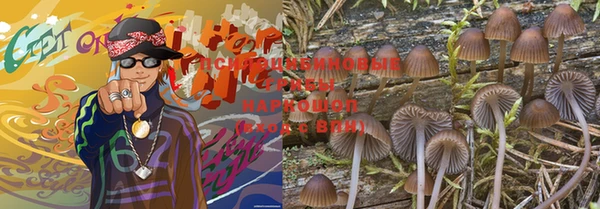 наркотики Богданович