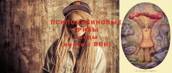 стафф Богородицк