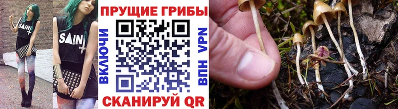OMG зеркало  Харовск  shop клад  Галлюциногенные грибы мицелий 